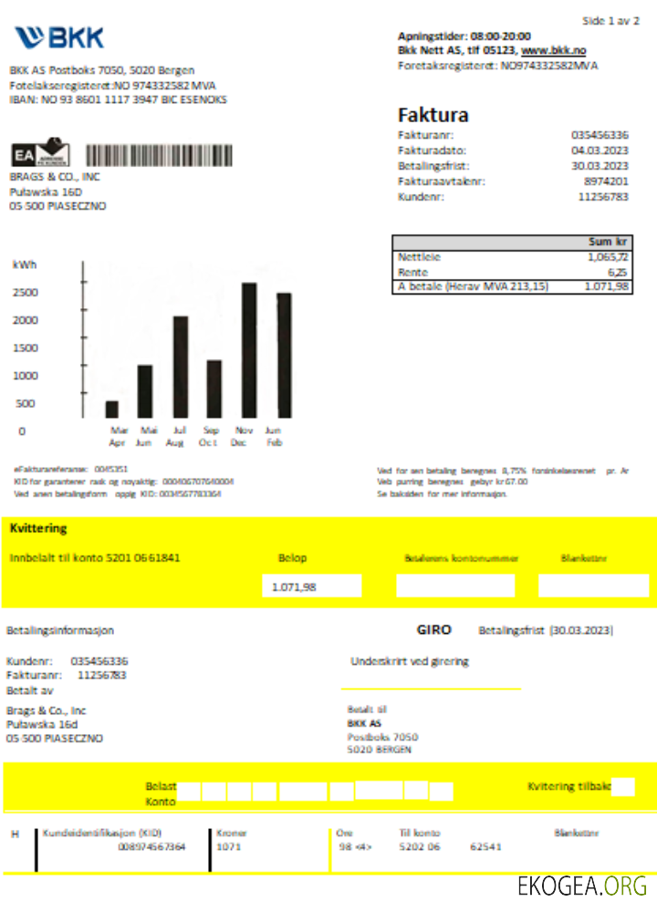 Facture commerciale du service public d'électricité de BKK SCR
